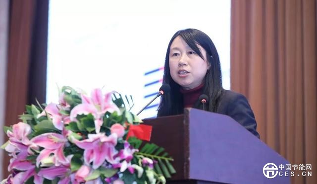 谢宏文:降低非技术成本是未来可再生能源发展的关键